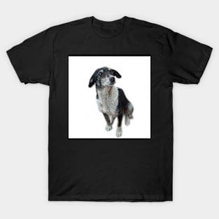 Mexican street dog T-Shirt
